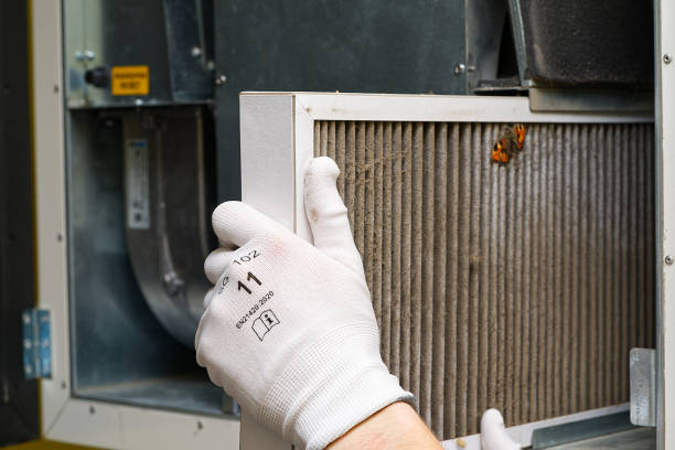 Best Affordable Duct Cleaning Services  in Cedar Falls, IA