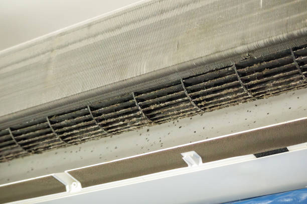 Best Residential Air Duct Cleaning  in Cedar Falls, IA
